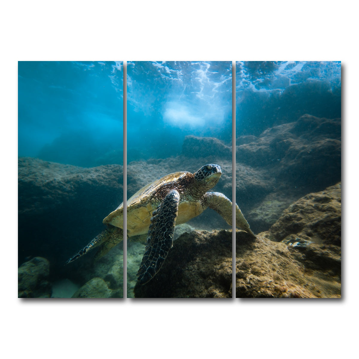 AUTO-MOCKUP WHITE | Under the Sea | 3 Piece | Gallery Wrap Canvas | group=8x18