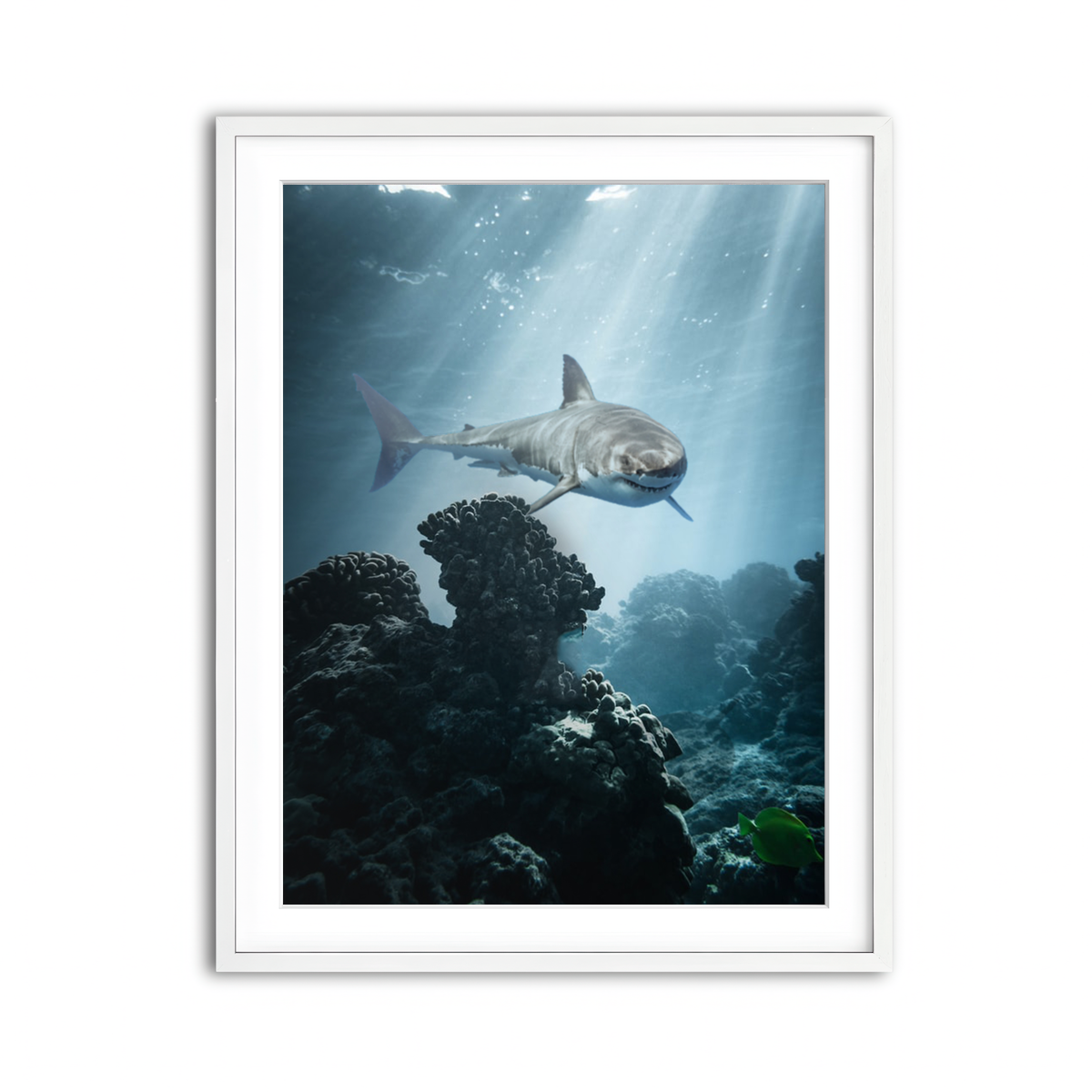 Framed Print 3x4 White