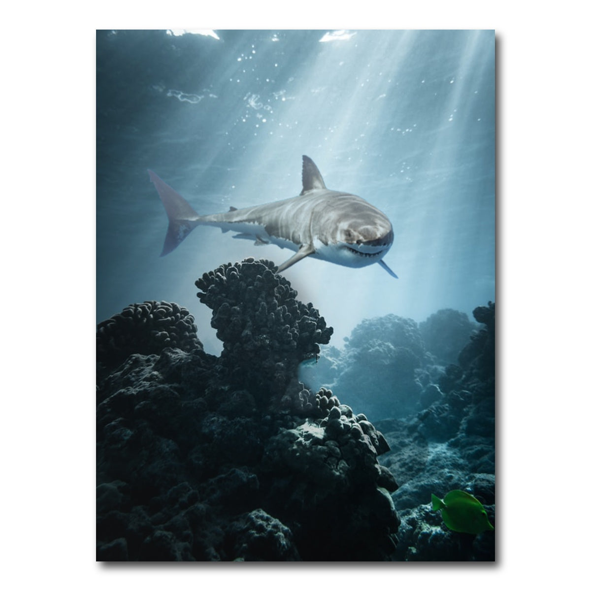 AUTO-MOCKUP WHITE | Underwater Terror | 1 Piece | Gallery Wrap Canvas | group=3x4