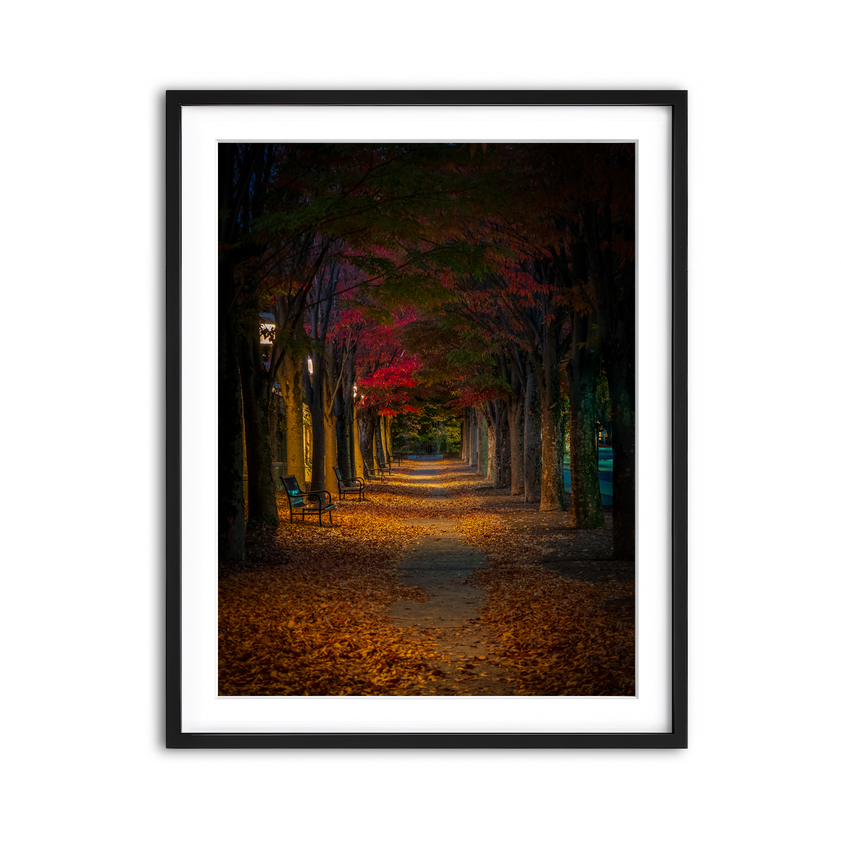Framed Print 3x4 Black