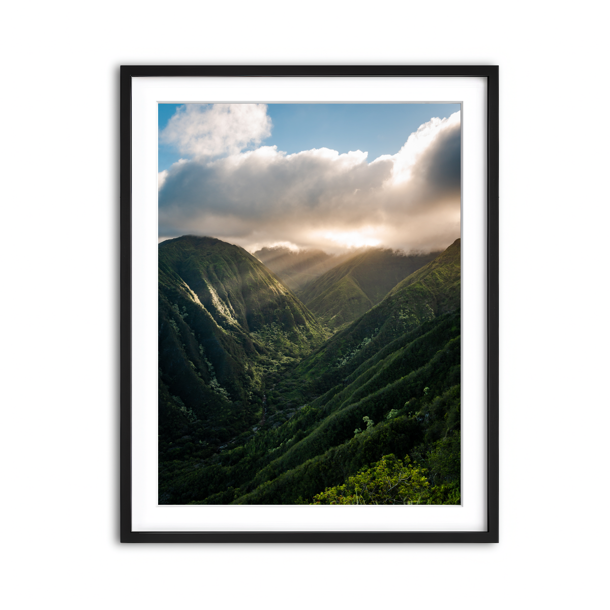 Framed Print 3x4 Black