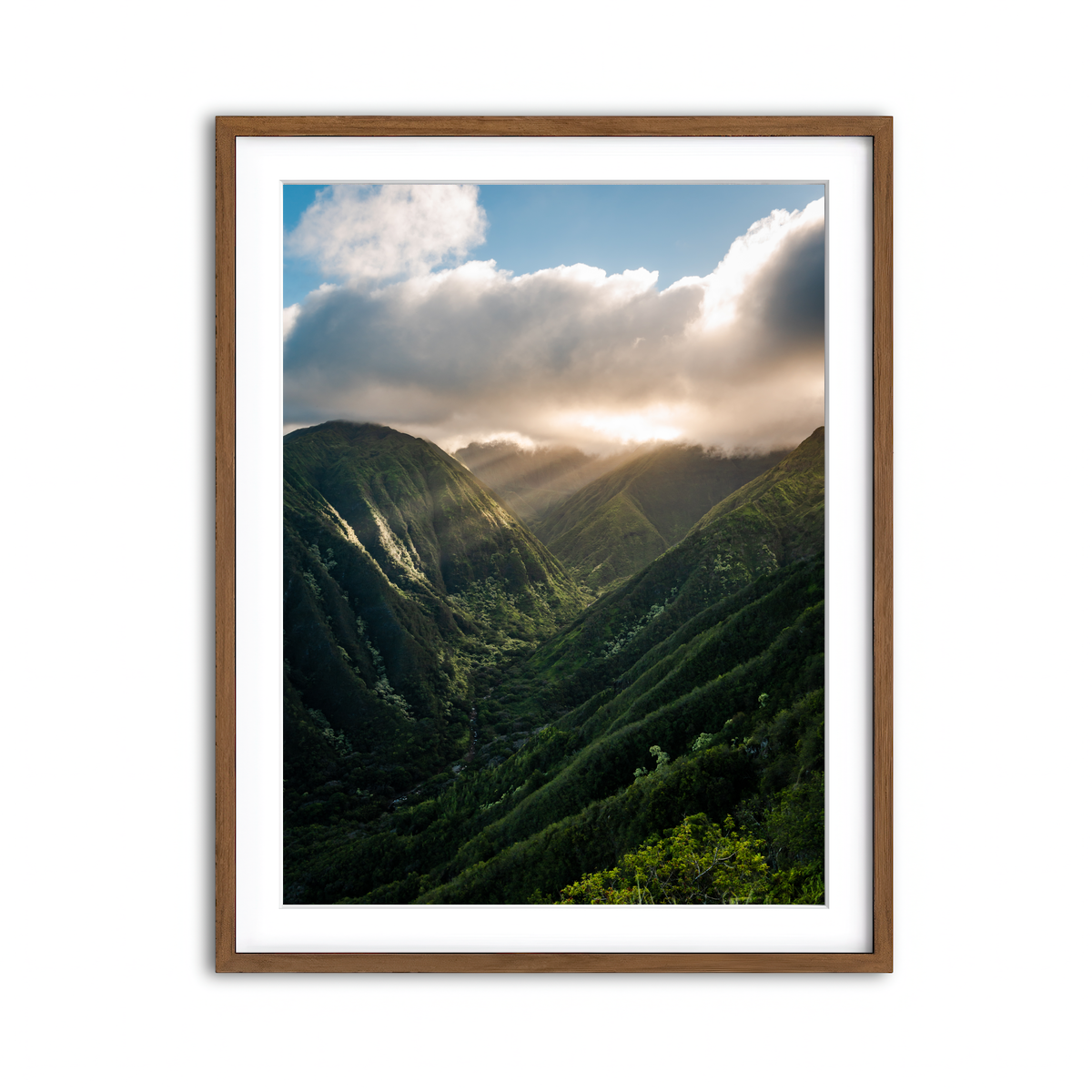 Framed Print 3x4 Walnut