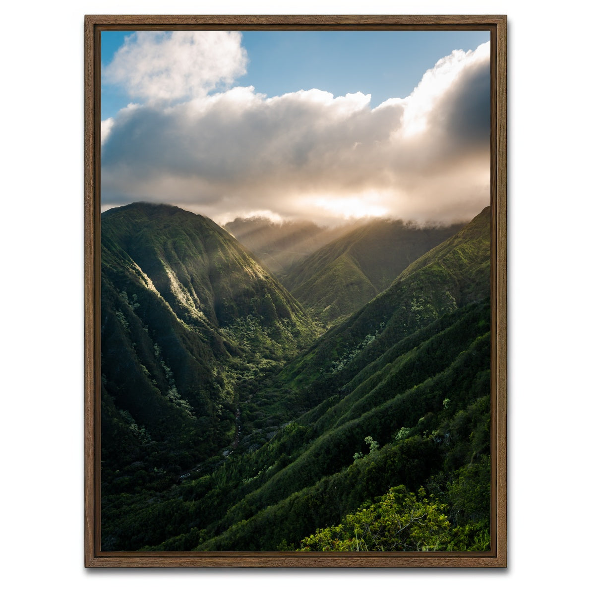 AUTO-MOCKUP WHITE | Valley of Light | 1 Piece | Walnut Framed Canvas | group=3x4