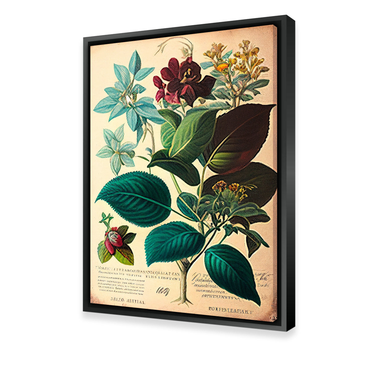 Vintage Botanical Print Series 1 Wall Art