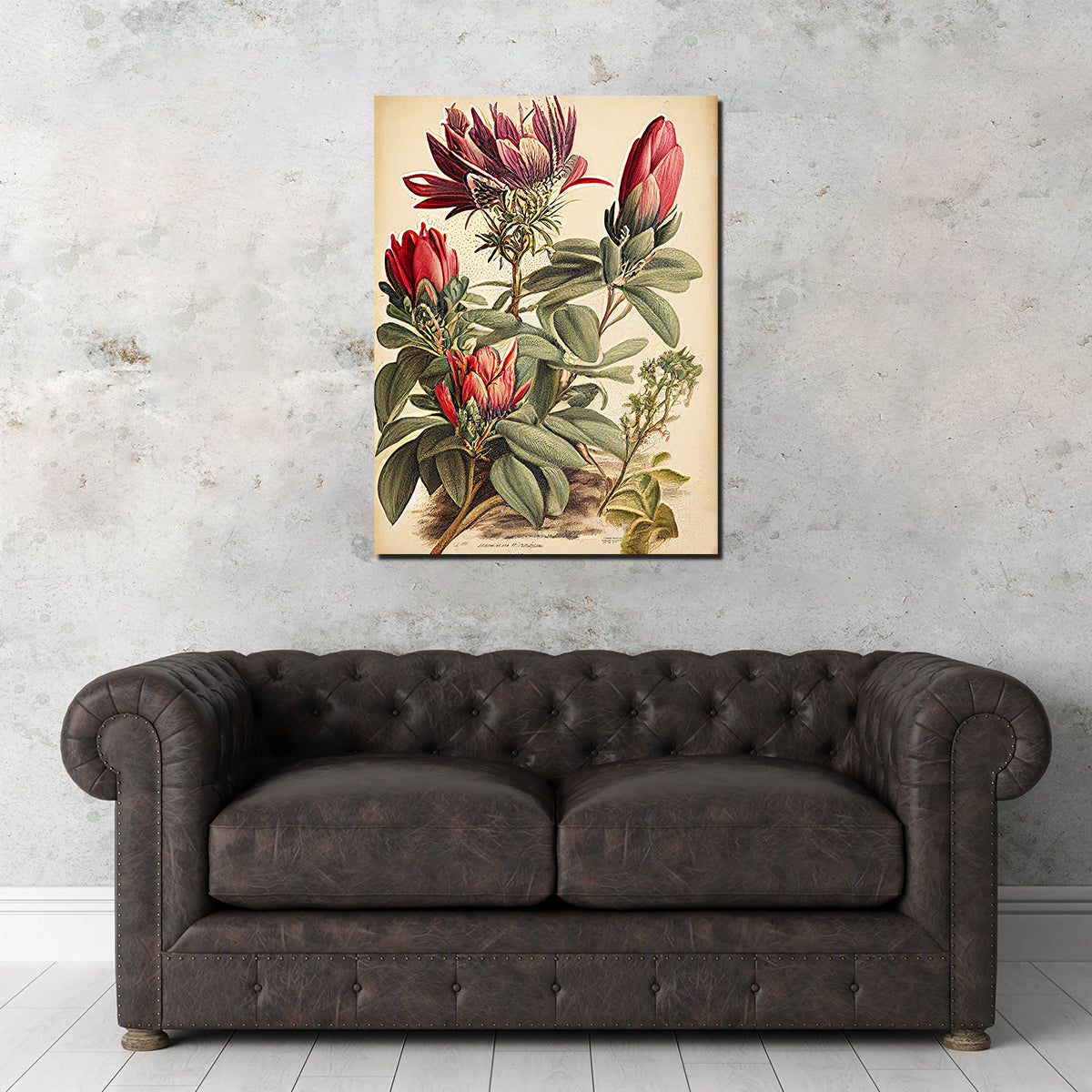 Vintage Botanical Print Series 10 Wall Art