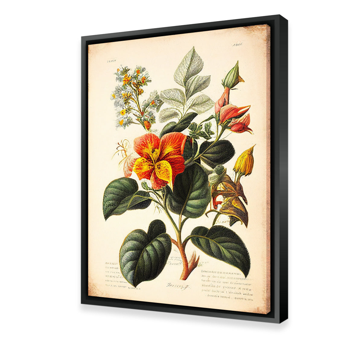 Vintage Botanical Print Series 2 Wall Art