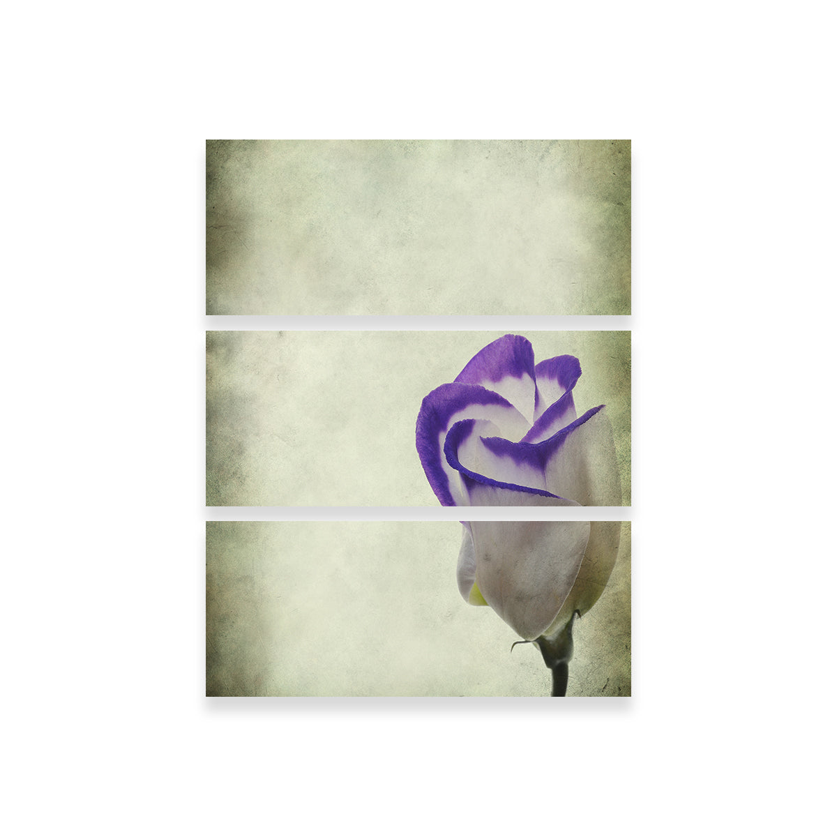 Vintage Lisianthus Wall Art