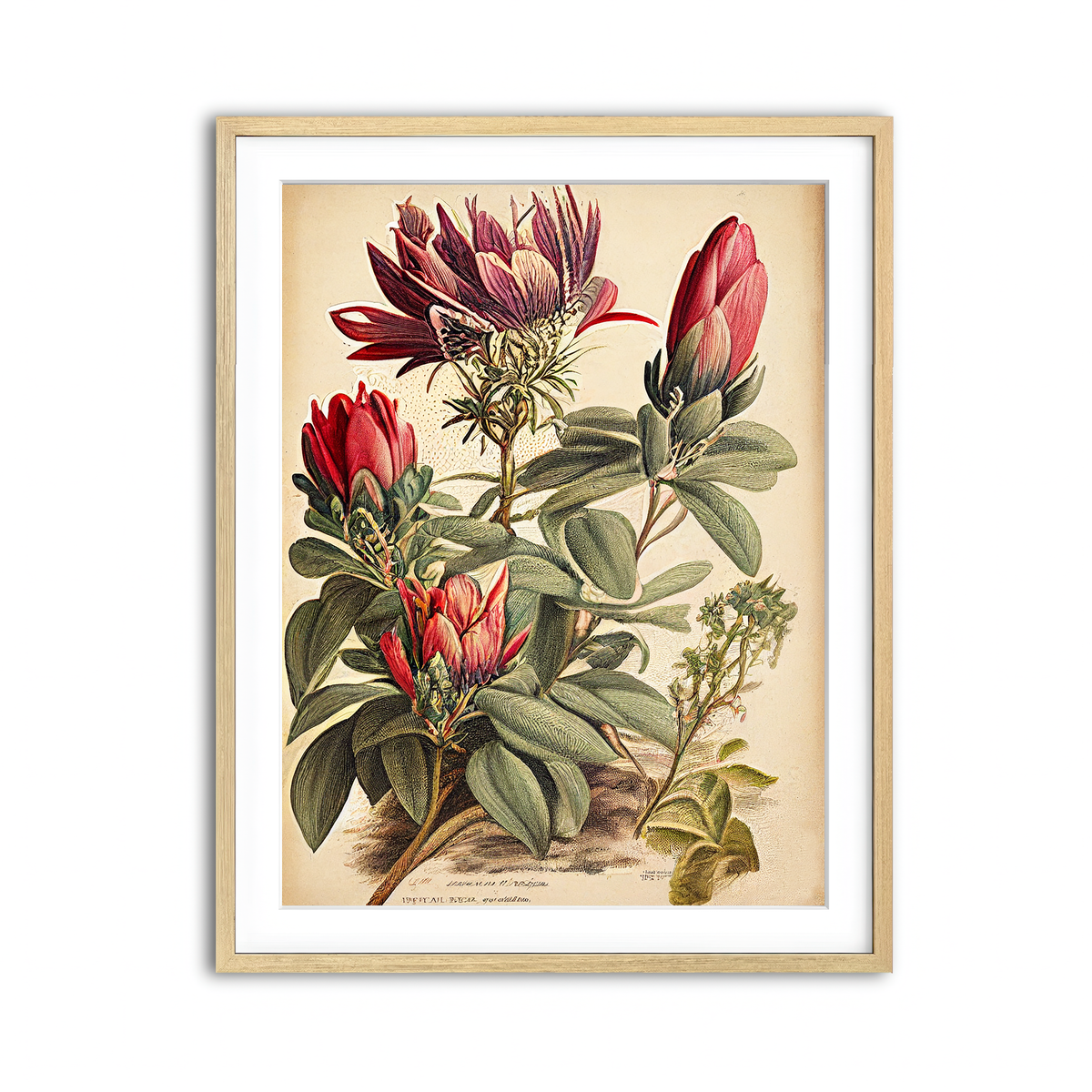 Framed Print 3x4 Natural