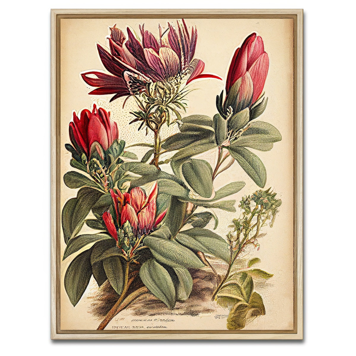 AUTO-MOCKUP WHITE | Vintage Botanical Print Series 10 | 1 Piece | Natural Framed Canvas | group=3x4