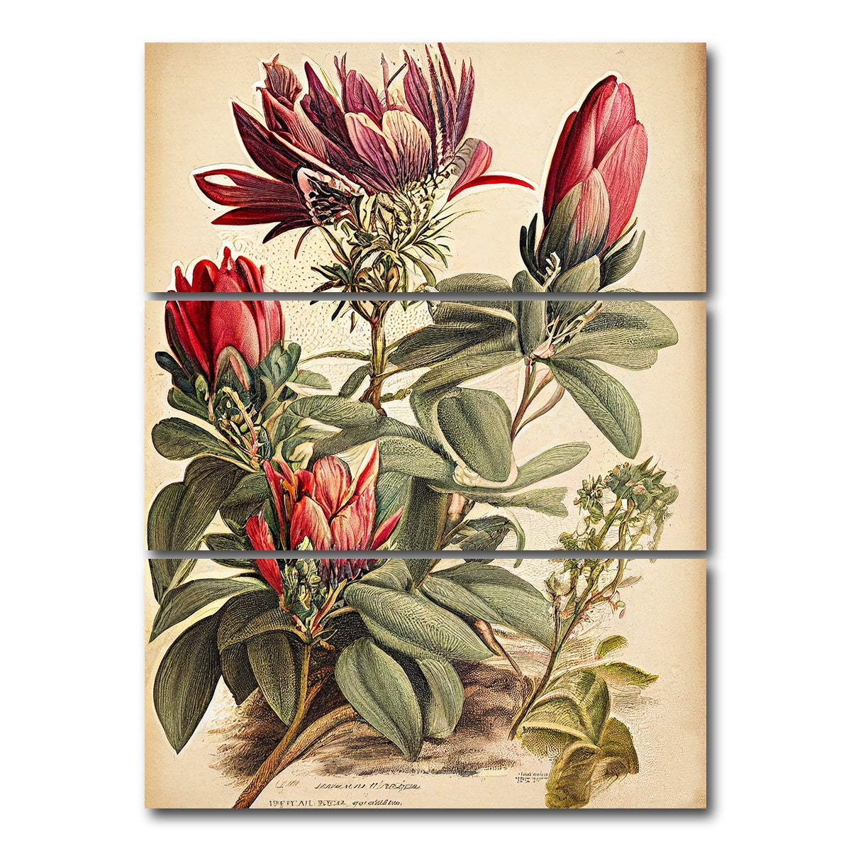 AUTO-MOCKUP WHITE | Vintage Botanical Print Series 10 | 3 Piece | Gallery Wrap Canvas | group=8x18_stacked