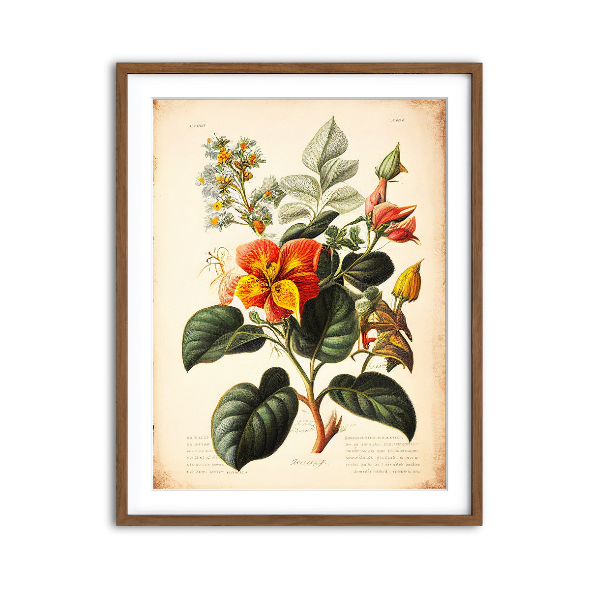 Framed Print 3x4 Walnut