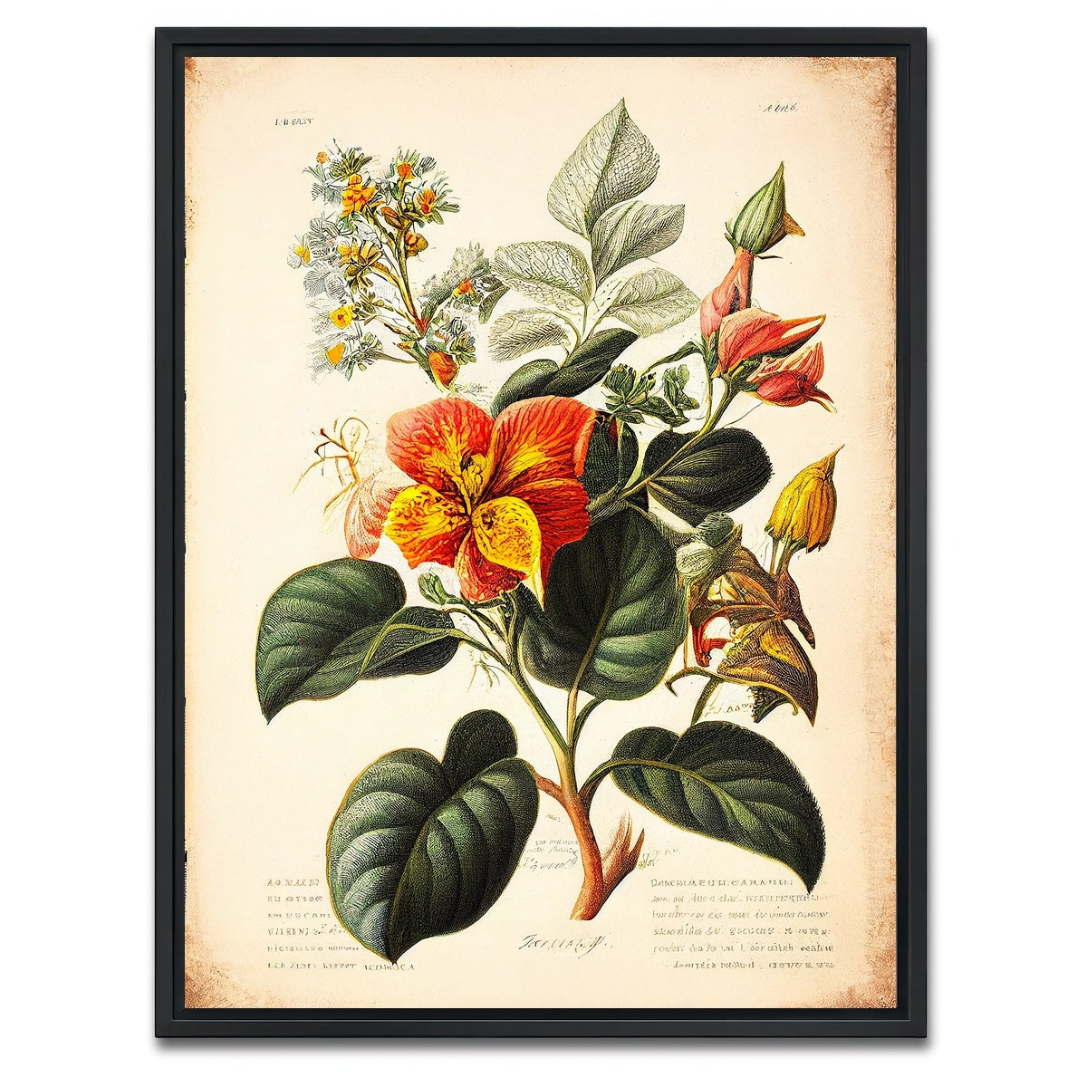 AUTO-MOCKUP WHITE | Vintage Botanical Print Series 2 | 1 Piece | Black Framed Canvas | group=3x4