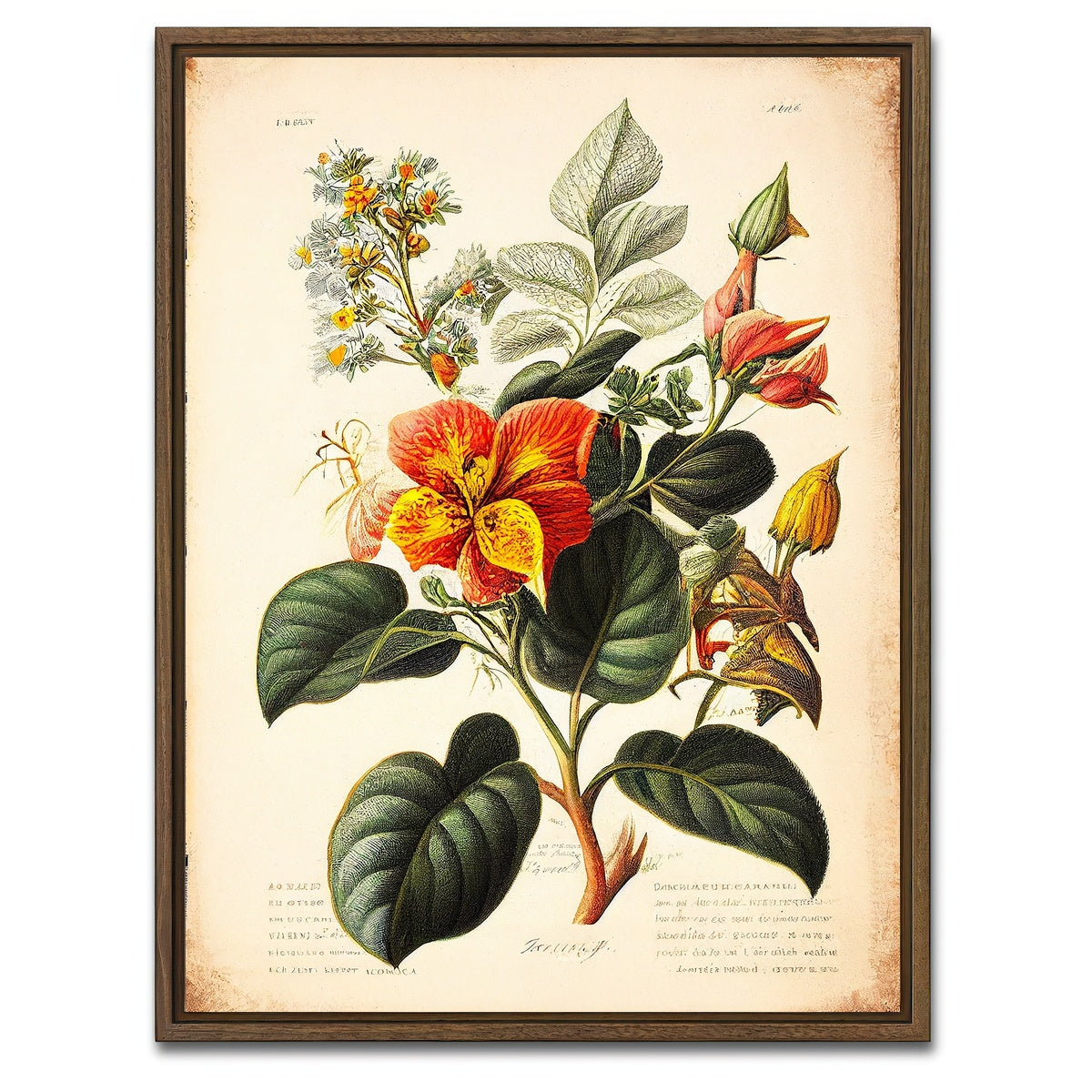 AUTO-MOCKUP WHITE | Vintage Botanical Print Series 2 | 1 Piece | Walnut Framed Canvas | group=3x4