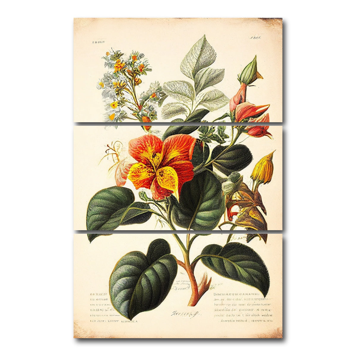 AUTO-MOCKUP WHITE | Vintage Botanical Print Series 2 | 3 Piece | Gallery Wrap Canvas | group=12x24_stacked