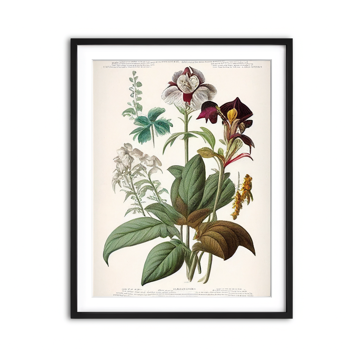 Framed Print 3x4 Black