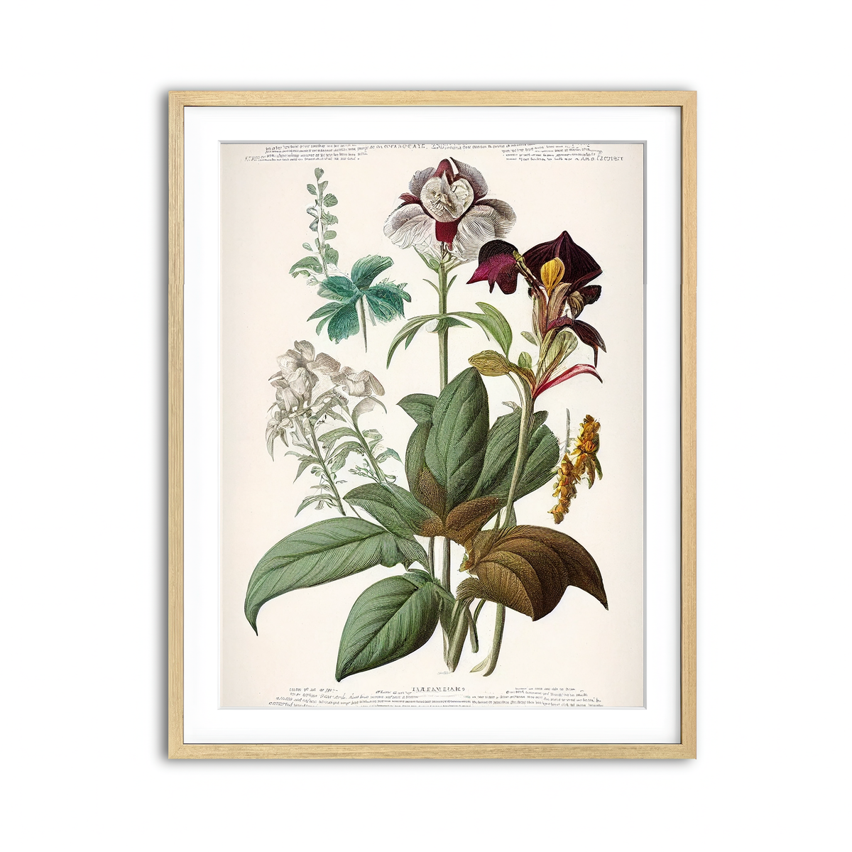 Framed Print 3x4 Natural