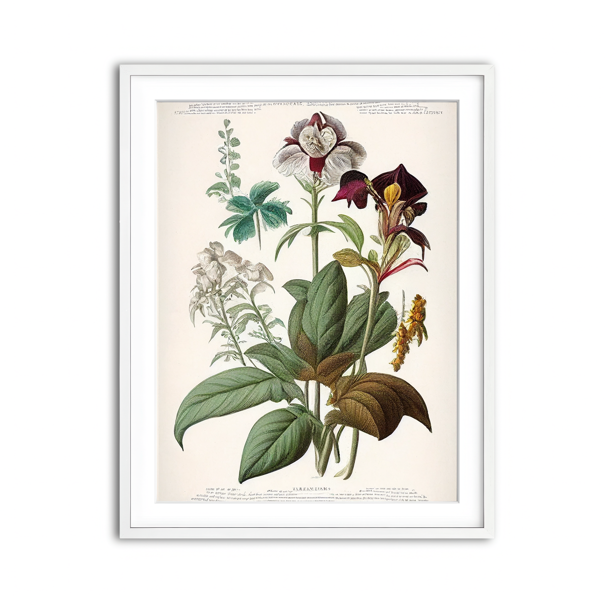 Framed Print 3x4 White