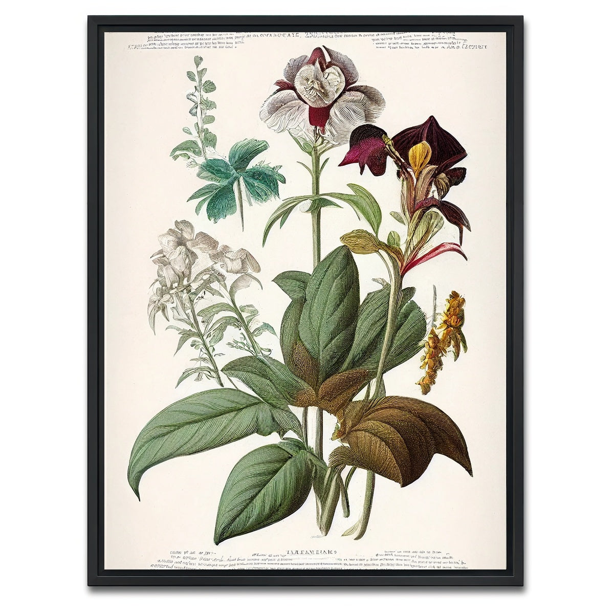 AUTO-MOCKUP WHITE | Vintage Botanical Print Series 3 | 1 Piece | Black Framed Canvas | group=3x4