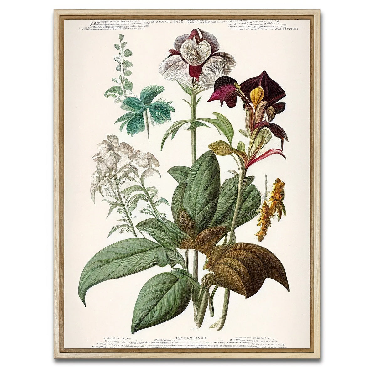 AUTO-MOCKUP WHITE | Vintage Botanical Print Series 3 | 1 Piece | Natural Framed Canvas | group=3x4
