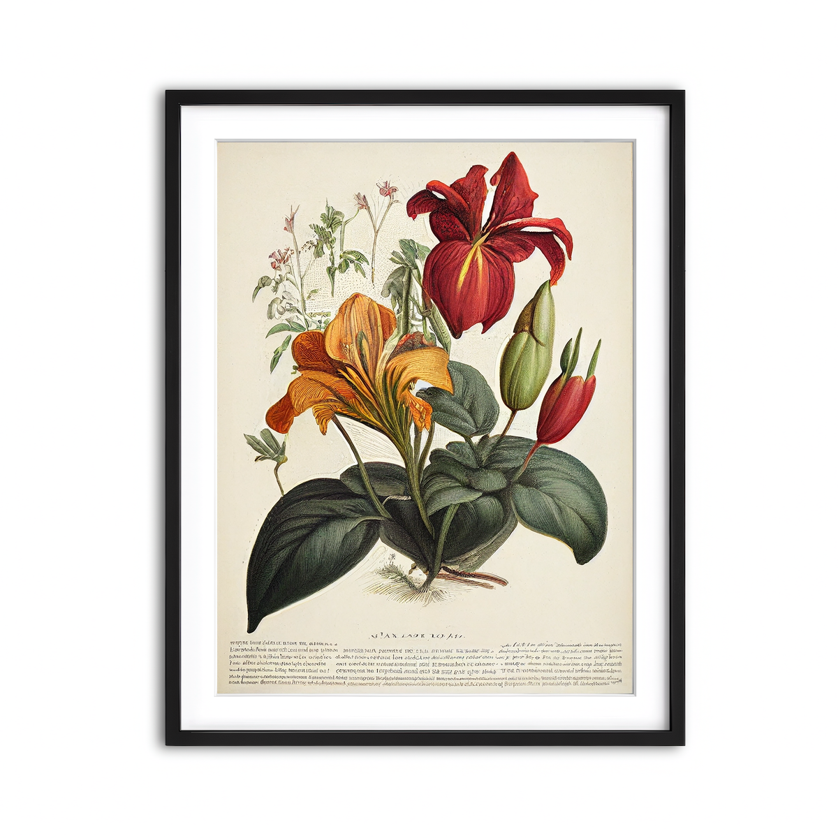 Framed Print 3x4 Black