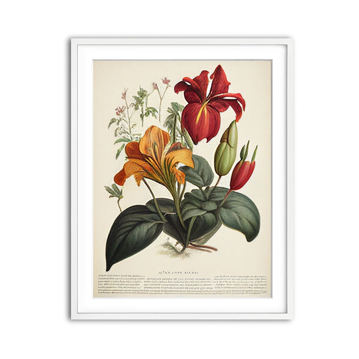 Framed Print 3x4 White