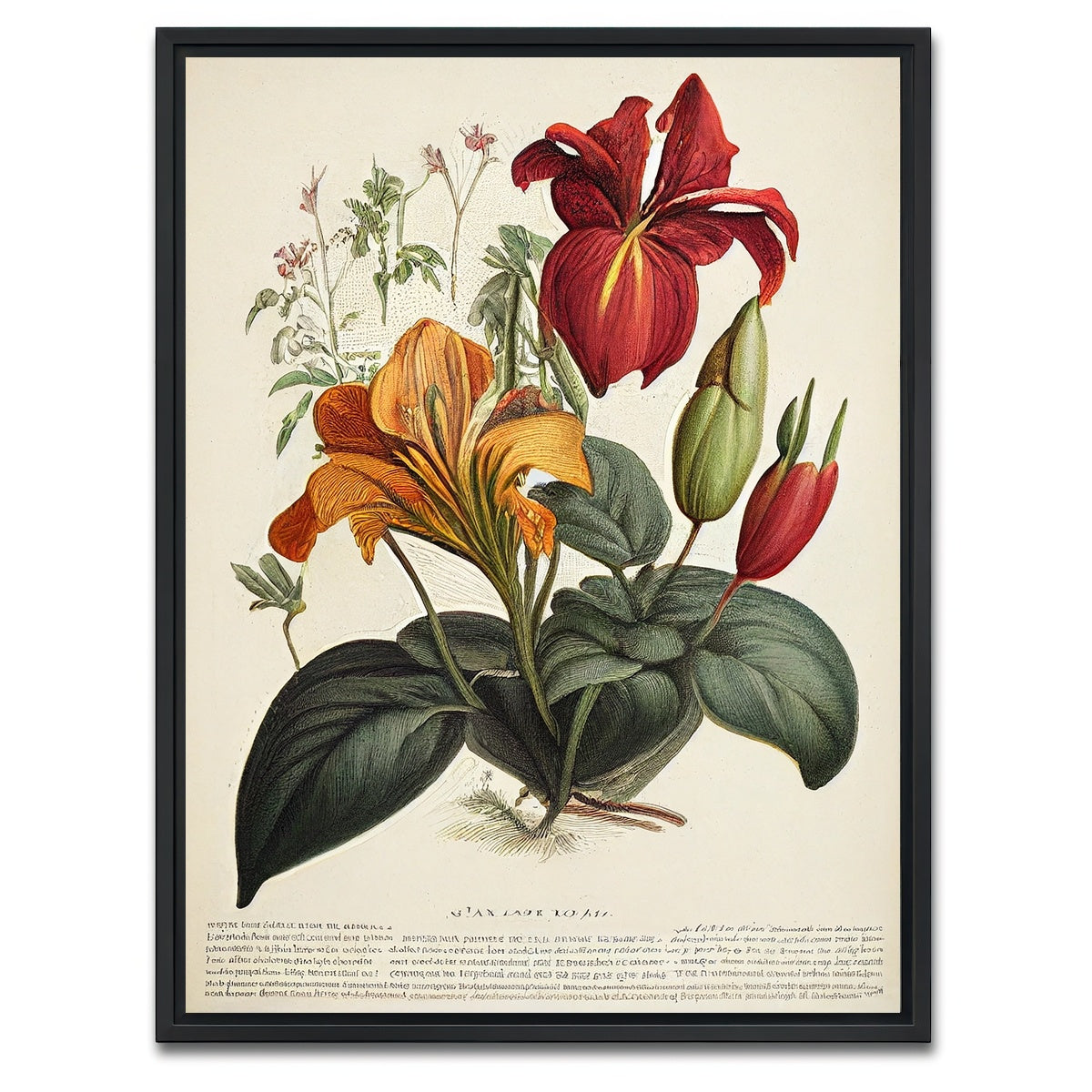 AUTO-MOCKUP WHITE | Vintage Botanical Print Series 4 | 1 Piece | Black Framed Canvas | group=3x4