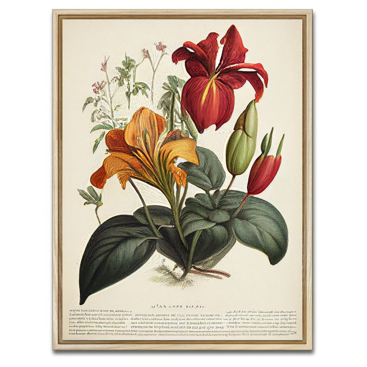 AUTO-MOCKUP WHITE | Vintage Botanical Print Series 4 | 1 Piece | Natural Framed Canvas | group=3x4