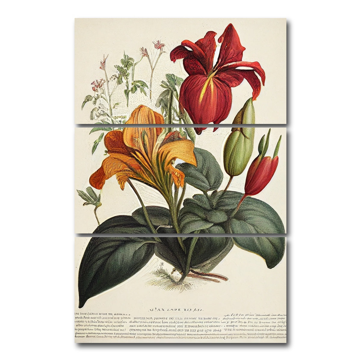 AUTO-MOCKUP WHITE | Vintage Botanical Print Series 4 | 3 Piece | Gallery Wrap Canvas | group=12x24_stacked