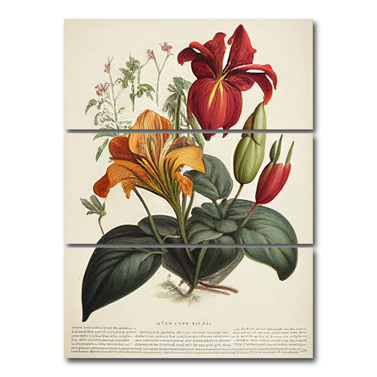 AUTO-MOCKUP WHITE | Vintage Botanical Print Series 4 | 3 Piece | Gallery Wrap Canvas | group=8x18_stacked