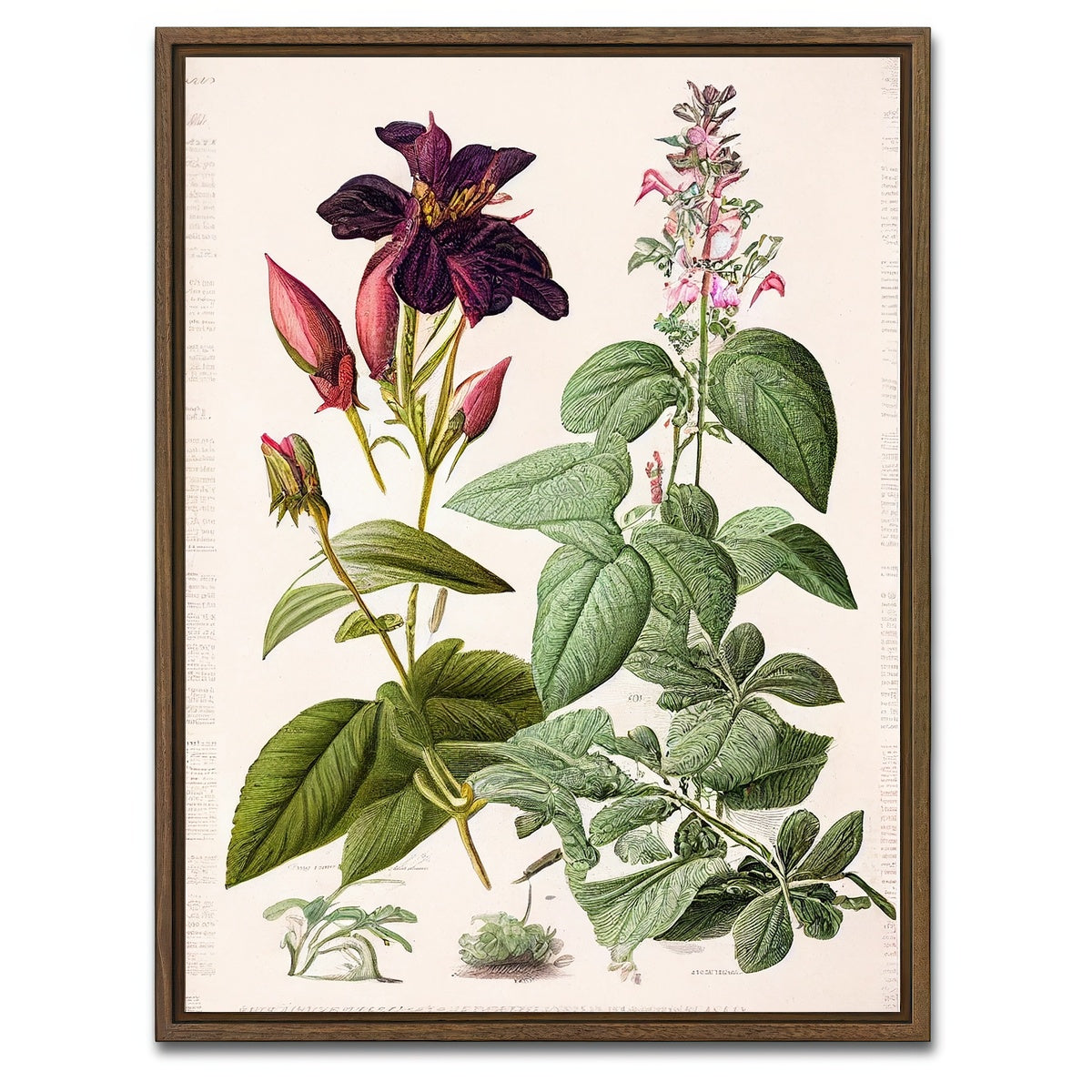 AUTO-MOCKUP WHITE | Vintage Botanical Print Series 5 | 1 Piece | Walnut Framed Canvas | group=3x4