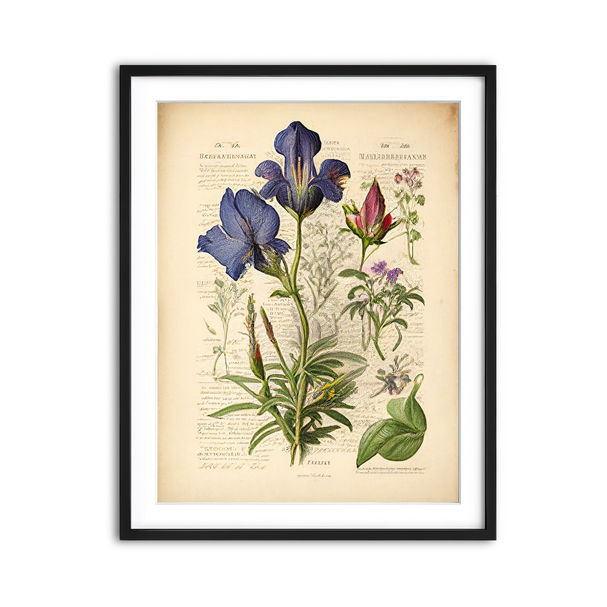 Framed Print 3x4 Black