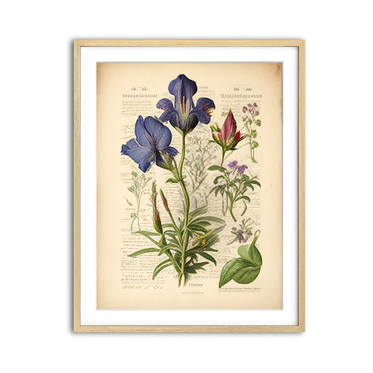 Framed Print 3x4 Natural