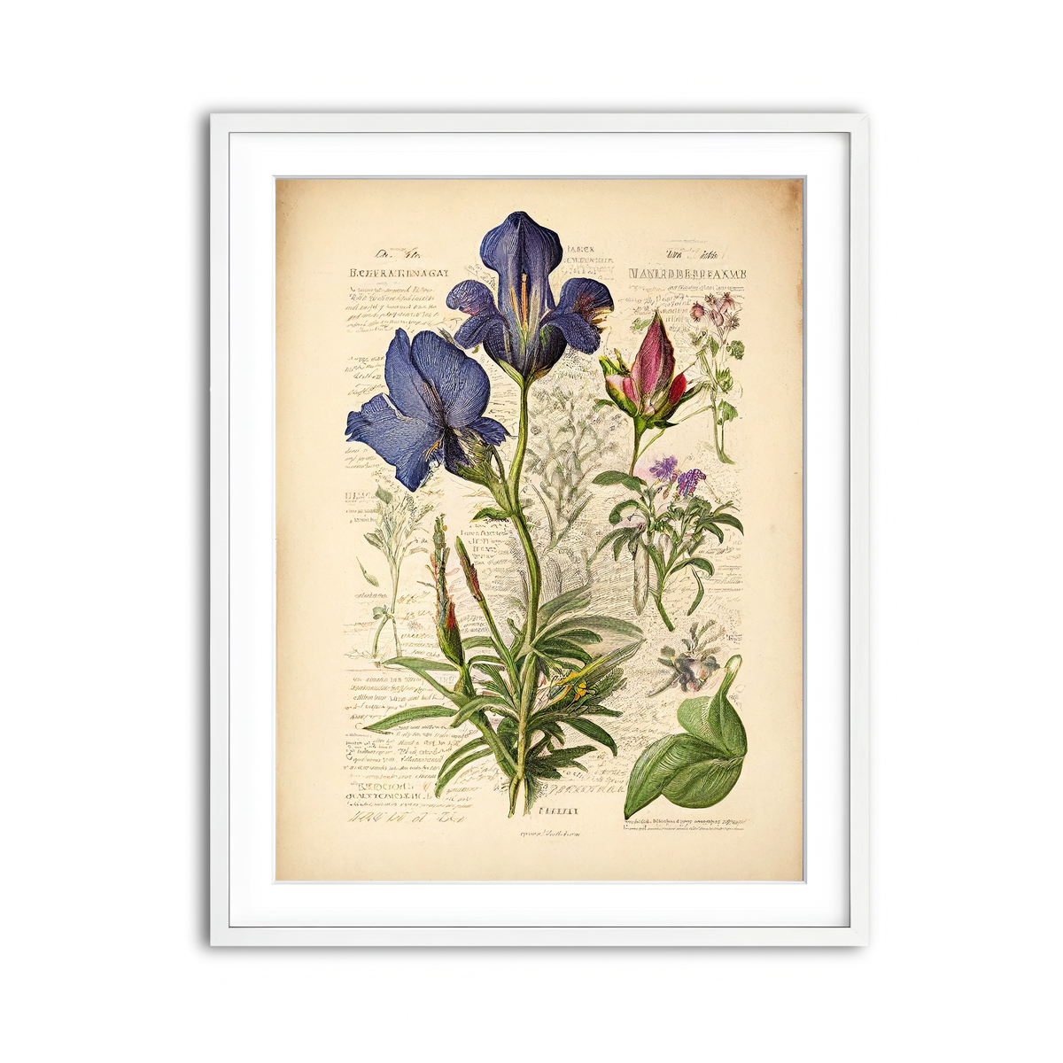 Framed Print 3x4 White