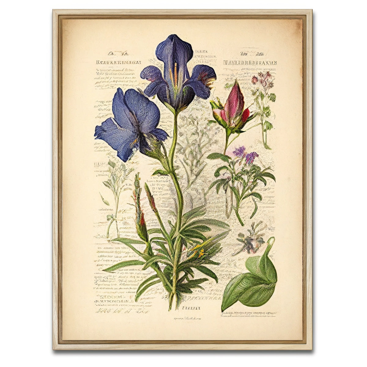 AUTO-MOCKUP WHITE | Vintage Botanical Print Series 7 | 1 Piece | Natural Framed Canvas | group=3x4