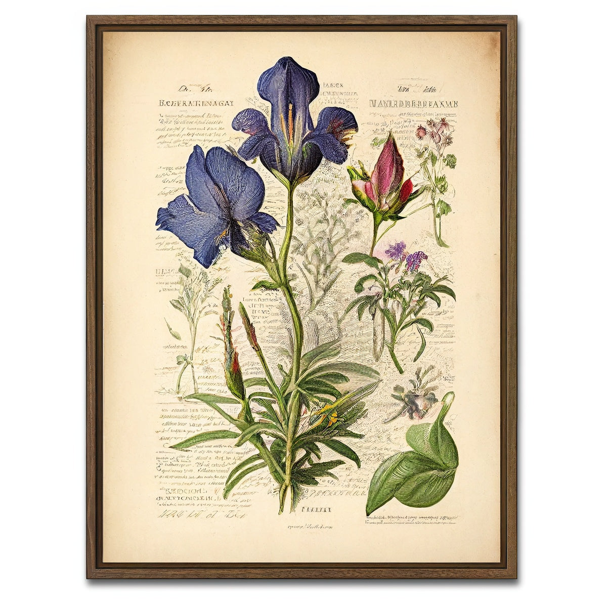 AUTO-MOCKUP WHITE | Vintage Botanical Print Series 7 | 1 Piece | Walnut Framed Canvas | group=3x4