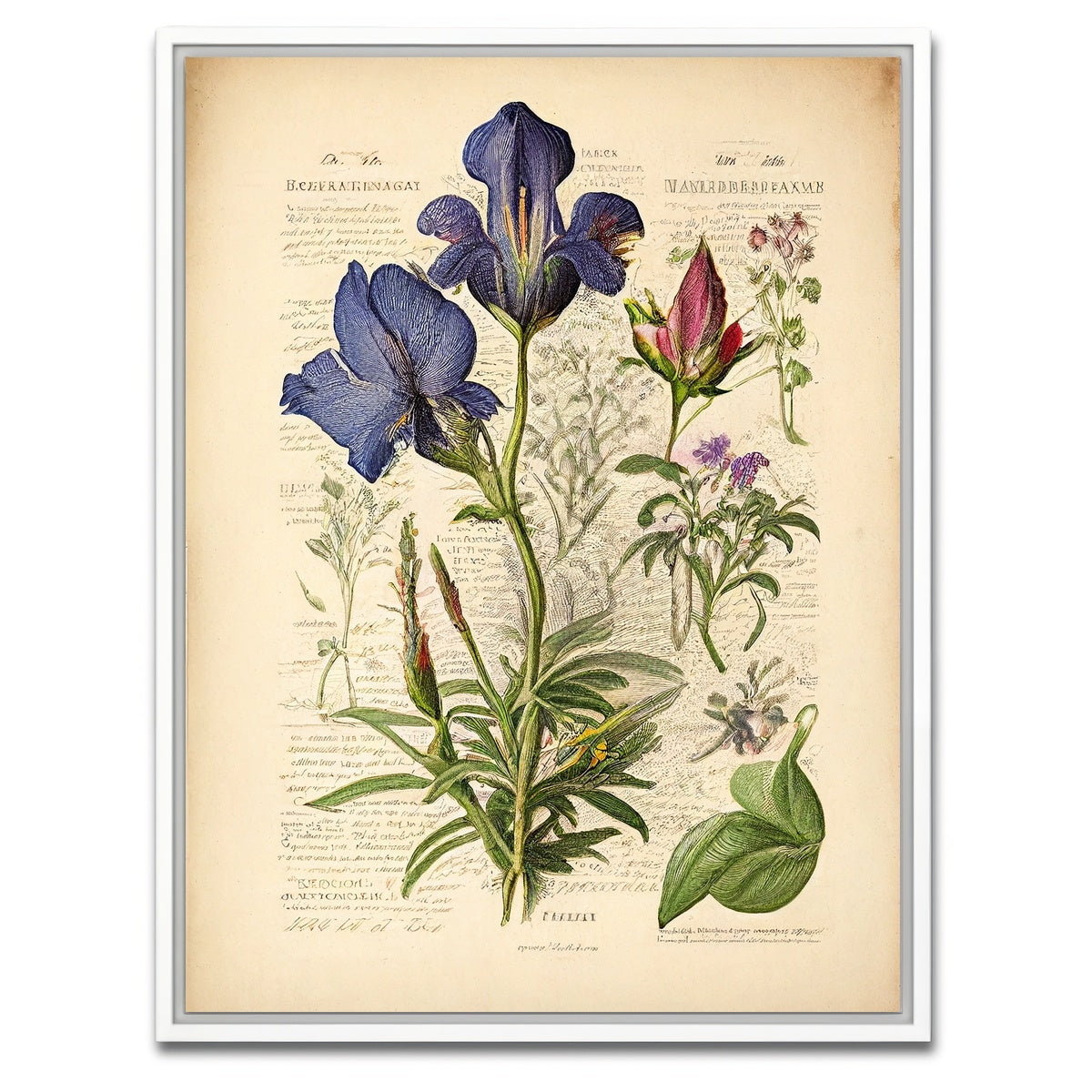AUTO-MOCKUP WHITE | Vintage Botanical Print Series 7 | 1 Piece | White Framed Canvas | group=3x4