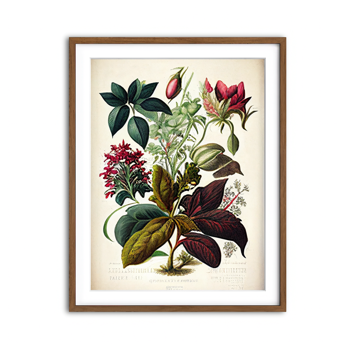 Framed Print 3x4 Walnut