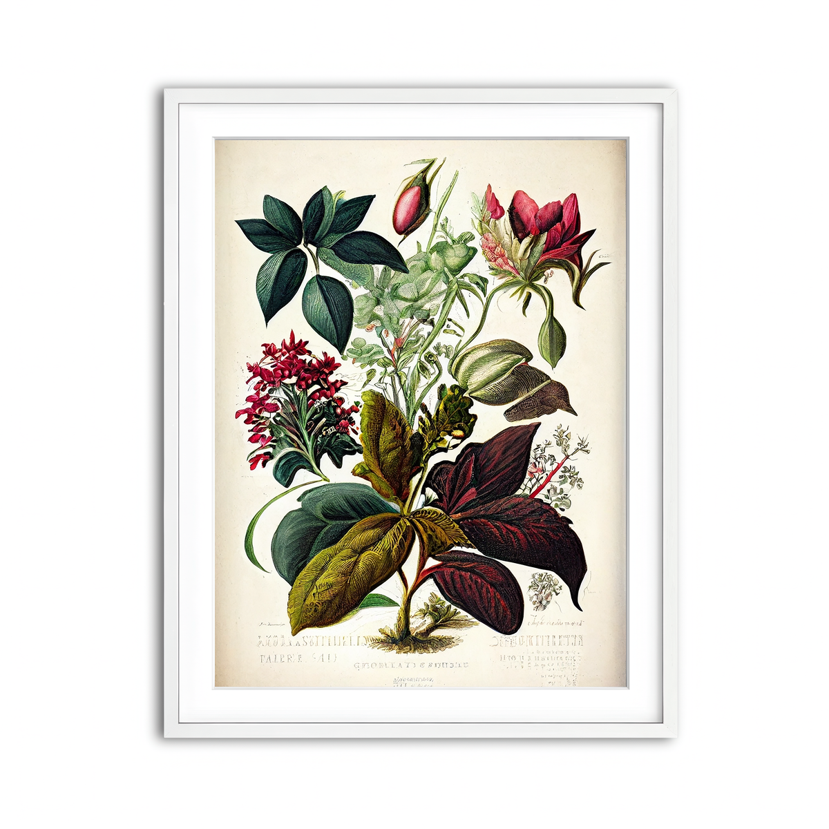 Framed Print 3x4 White