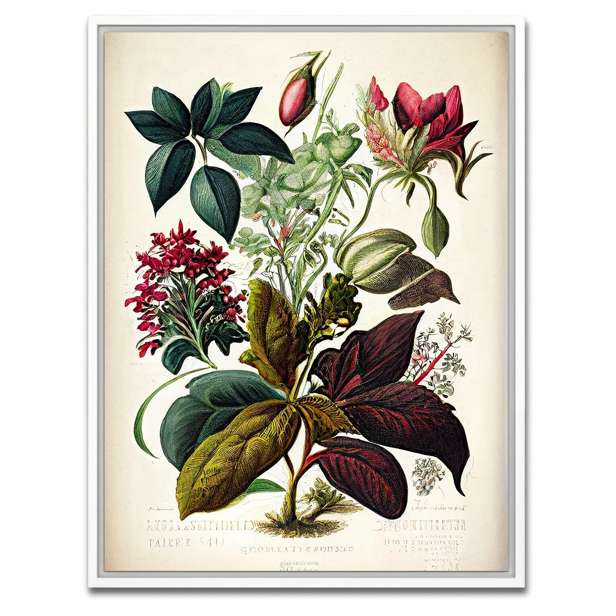 AUTO-MOCKUP WHITE | Vintage Botanical Print Series 8 | 1 Piece | White Framed Canvas | group=3x4