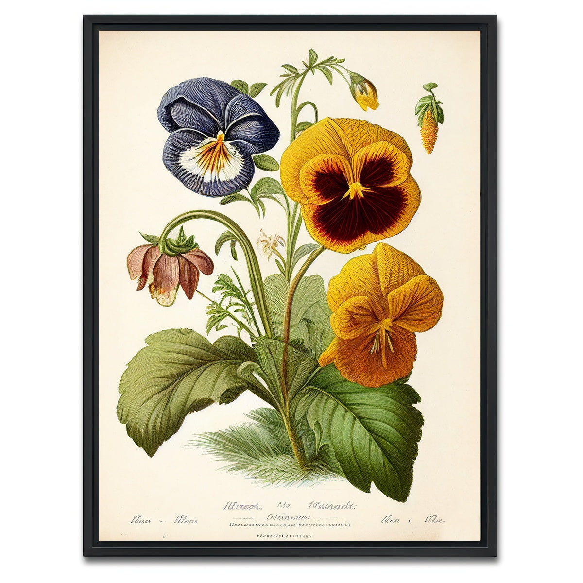 AUTO-MOCKUP WHITE | Vintage Botanical Print Series 9 | 1 Piece | Black Framed Canvas | group=3x4