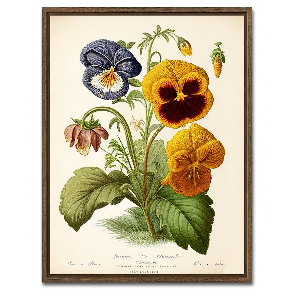 AUTO-MOCKUP WHITE | Vintage Botanical Print Series 9 | 1 Piece | Walnut Framed Canvas | group=3x4