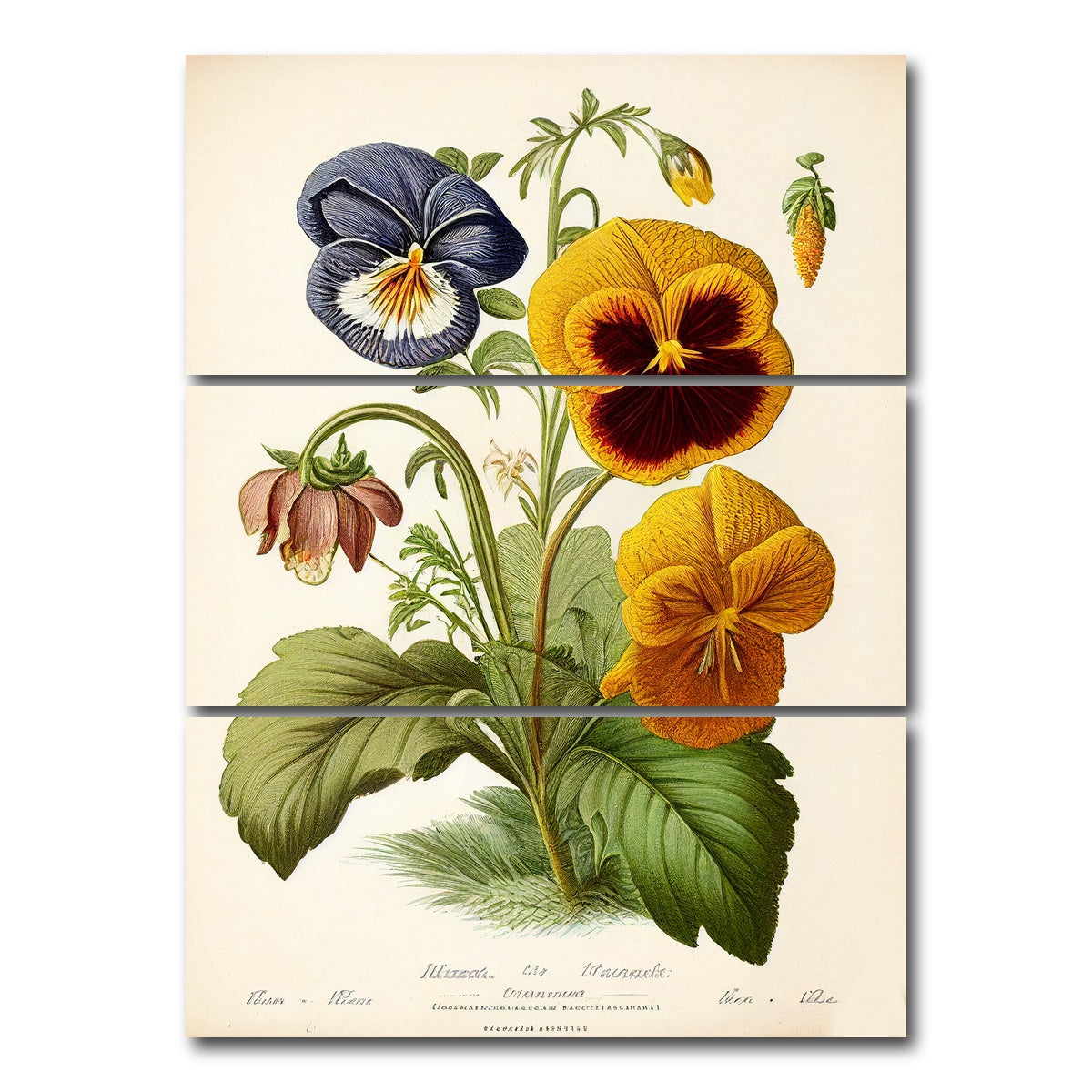 AUTO-MOCKUP WHITE | Vintage Botanical Print Series 9 | 3 Piece | Gallery Wrap Canvas | group=8x18_stacked