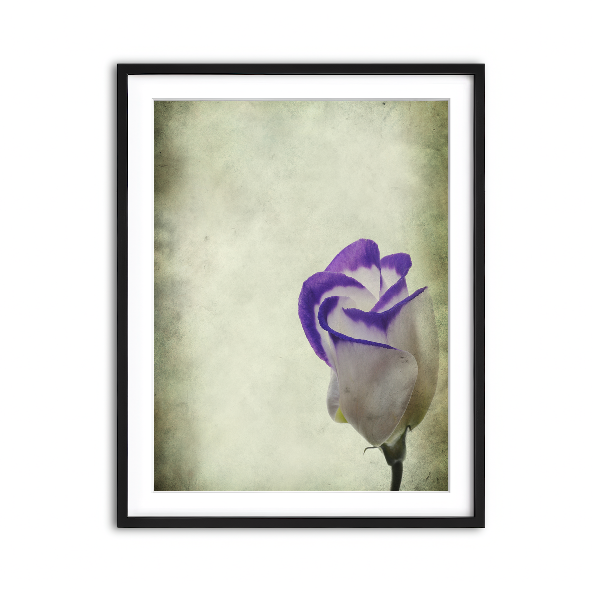 Framed Print 3x4 Black