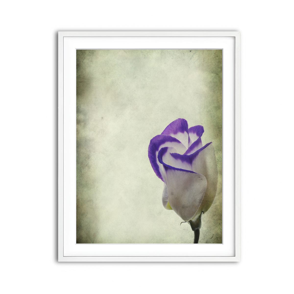 Framed Print 3x4 White