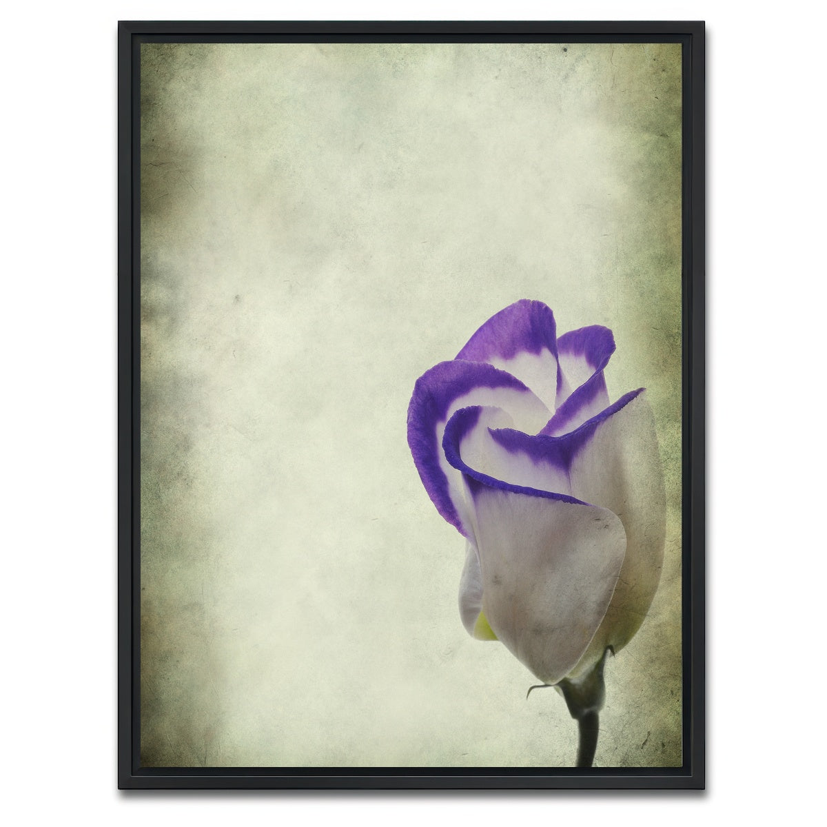 AUTO-MOCKUP WHITE | Vintage Lisianthus | 1 Piece | Black Framed Canvas | group=3x4