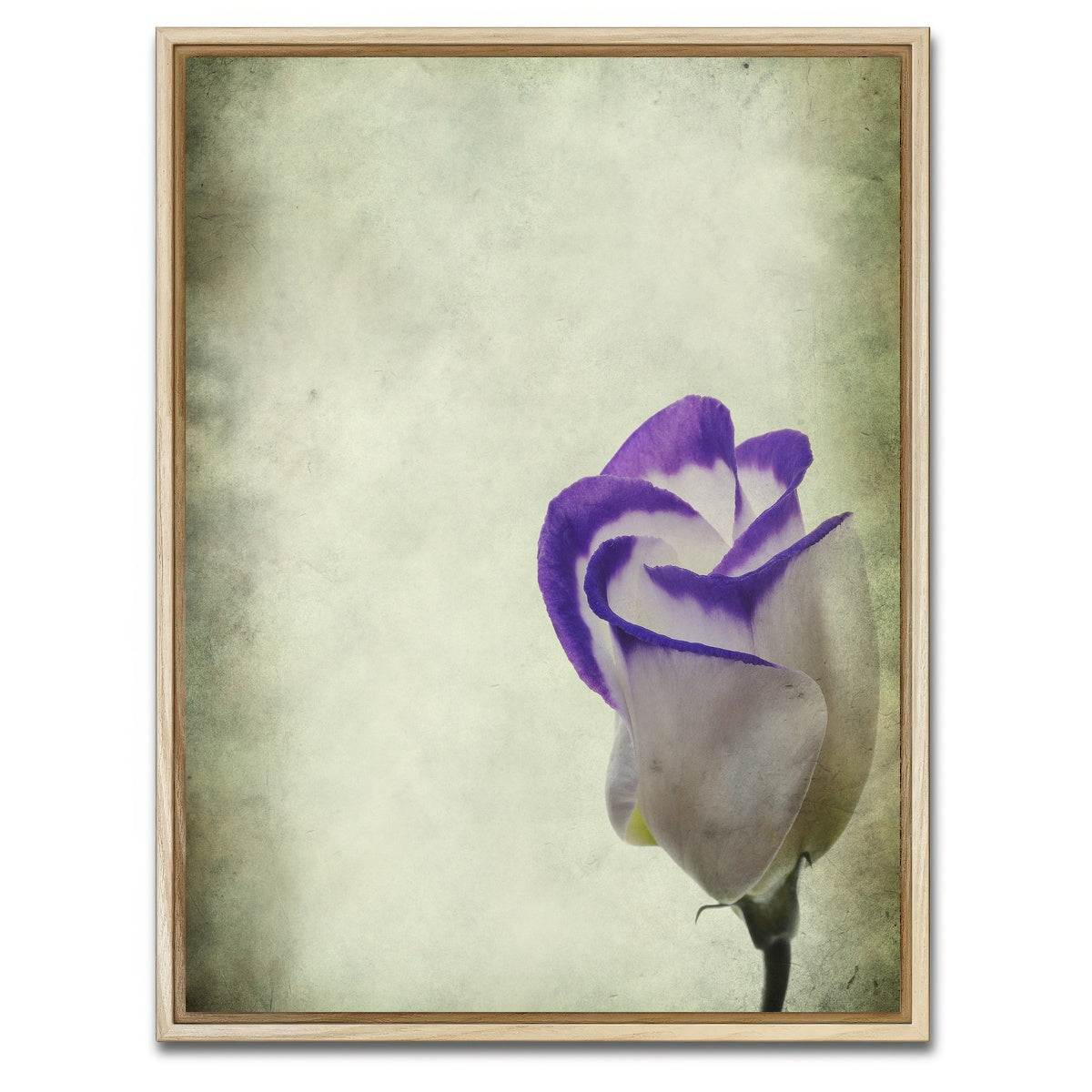AUTO-MOCKUP WHITE | Vintage Lisianthus | 1 Piece | Natural Framed Canvas | group=3x4