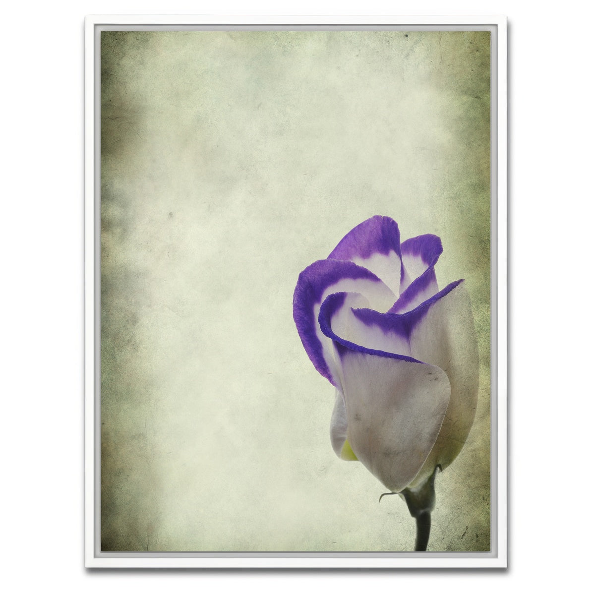 AUTO-MOCKUP WHITE | Vintage Lisianthus | 1 Piece | White Framed Canvas | group=3x4