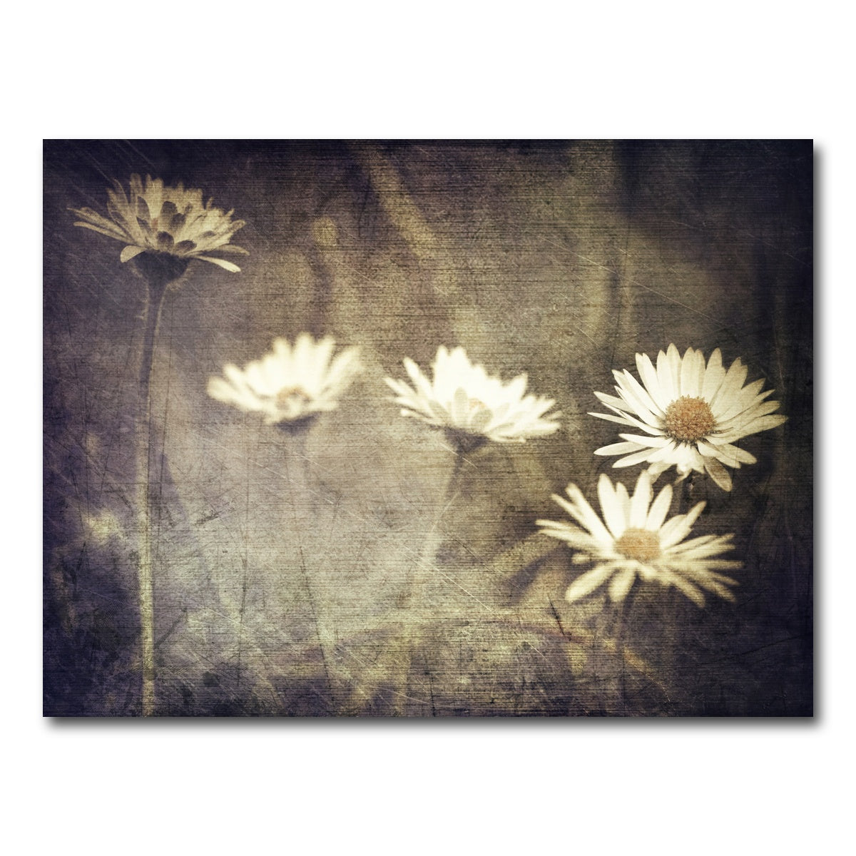 AUTO-MOCKUP WHITE | Vintage Meadow Flowers | 1 Piece | Gallery Wrap Canvas | group=4x3