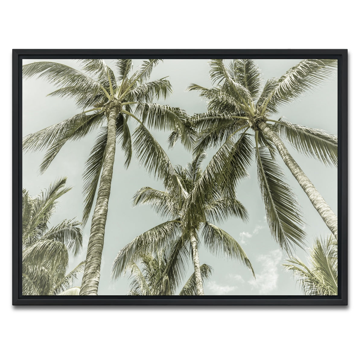 AUTO-MOCKUP WHITE | Vintage Palm Trees | 1 Piece | Black Framed Canvas | group=4x3