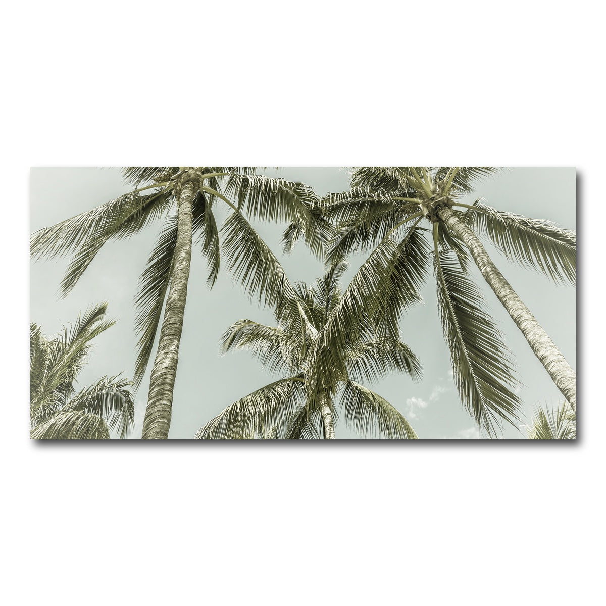 AUTO-MOCKUP WHITE | Vintage Palm Trees | 1 Piece | Gallery Wrap Canvas | group=2x1